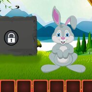 Игра Побег зайчика