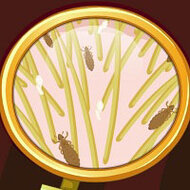 Игра Прическу в порядок