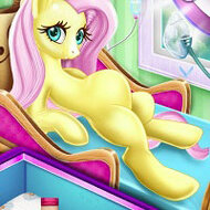 Игра Роды в ветеринарной клинике