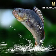 Игра Рыбалка на зеленом озере