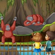 Игра Сборник пазлов про животных зоопарка