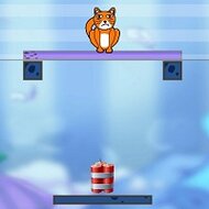 Игра Сбрось кота