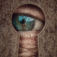 Игра Шпионские пазлы