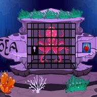 Игра Спасение осьминога