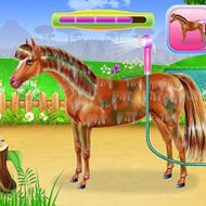 Игра Уход за лошадьми
