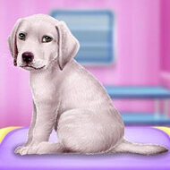 Игра Уход за собачкой