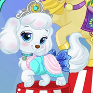 Игра Спа для животных