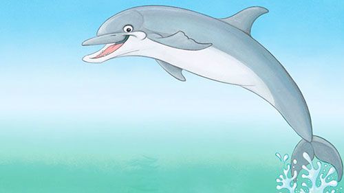 Игры Про дельфинов Игры Про дельфинов