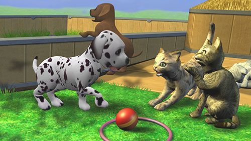 Игры Уход за животными Игры Уход за животными