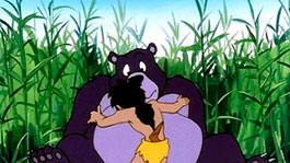 Извини, Балу!