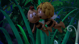 Ночной цветок