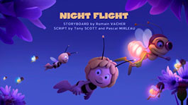 Ночной полёт