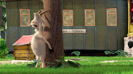 Первая встреча