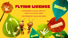 Право летать